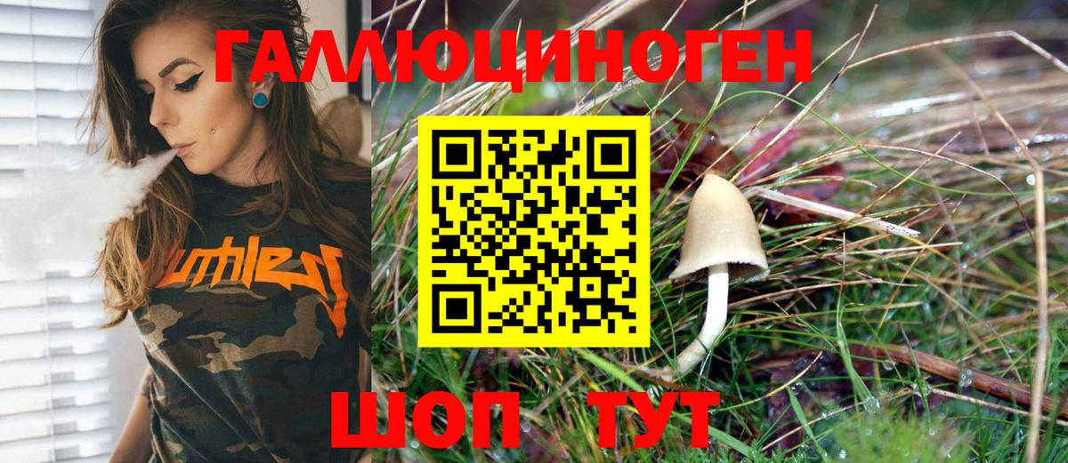 Псилоцибиновые грибы Psilocybe  Вход с VPN  Звенигород  Псилоцибиновые грибы GOLDEN TEACHER 