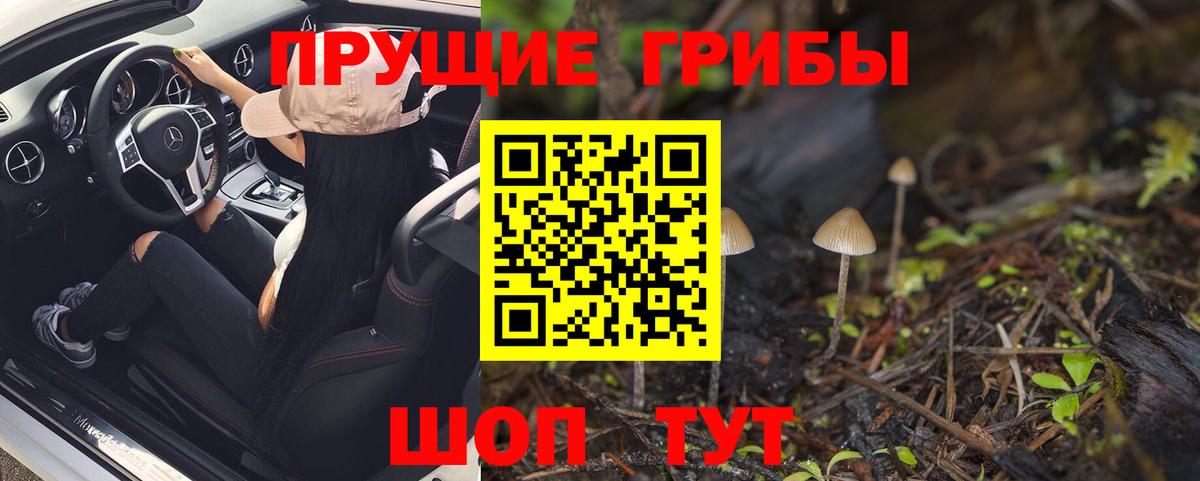 Галлюциногенные грибы мухоморы Звенигород